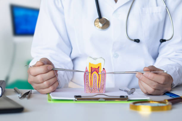 Best Emergency Dental Services for Seniors in Great Neck Gardens, NY
